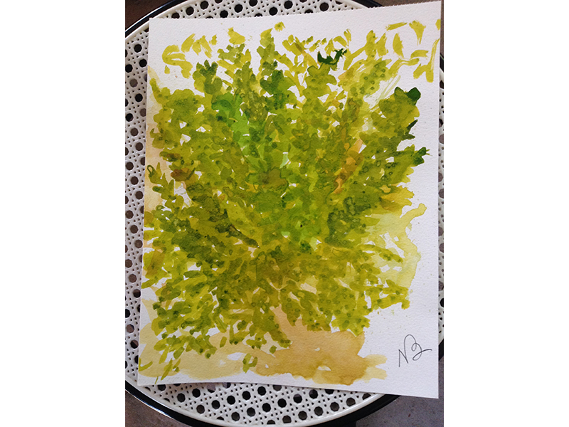 Atelier à Beyrines du 09 02 2019