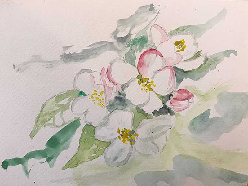 Atelier à Beyrines du 26 09 2020